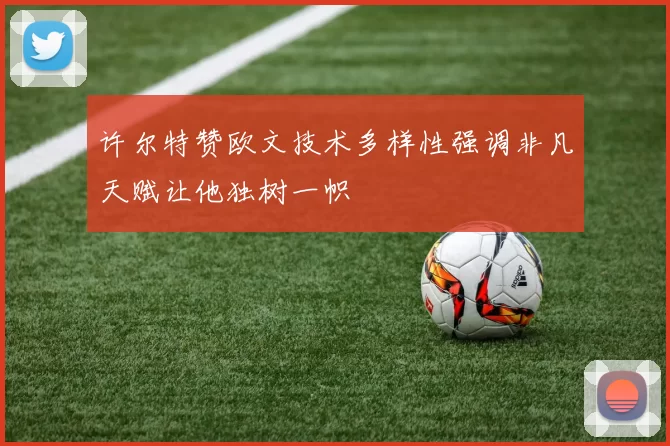 许尔特赞欧文技术多样性强调非凡天赋让他独树一帜