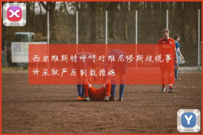 西尔维斯特呼吁对维尼修斯歧视事件采取严厉制裁措施