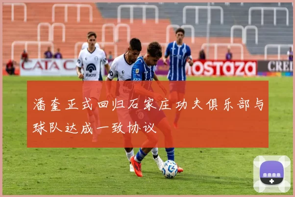 潘奎正式回归石家庄功夫俱乐部与球队达成一致协议